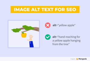 optimized image alt text for SEO example